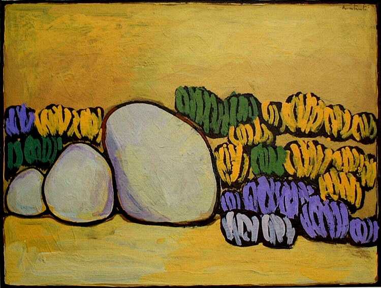 Rocce e cespugli, 1971